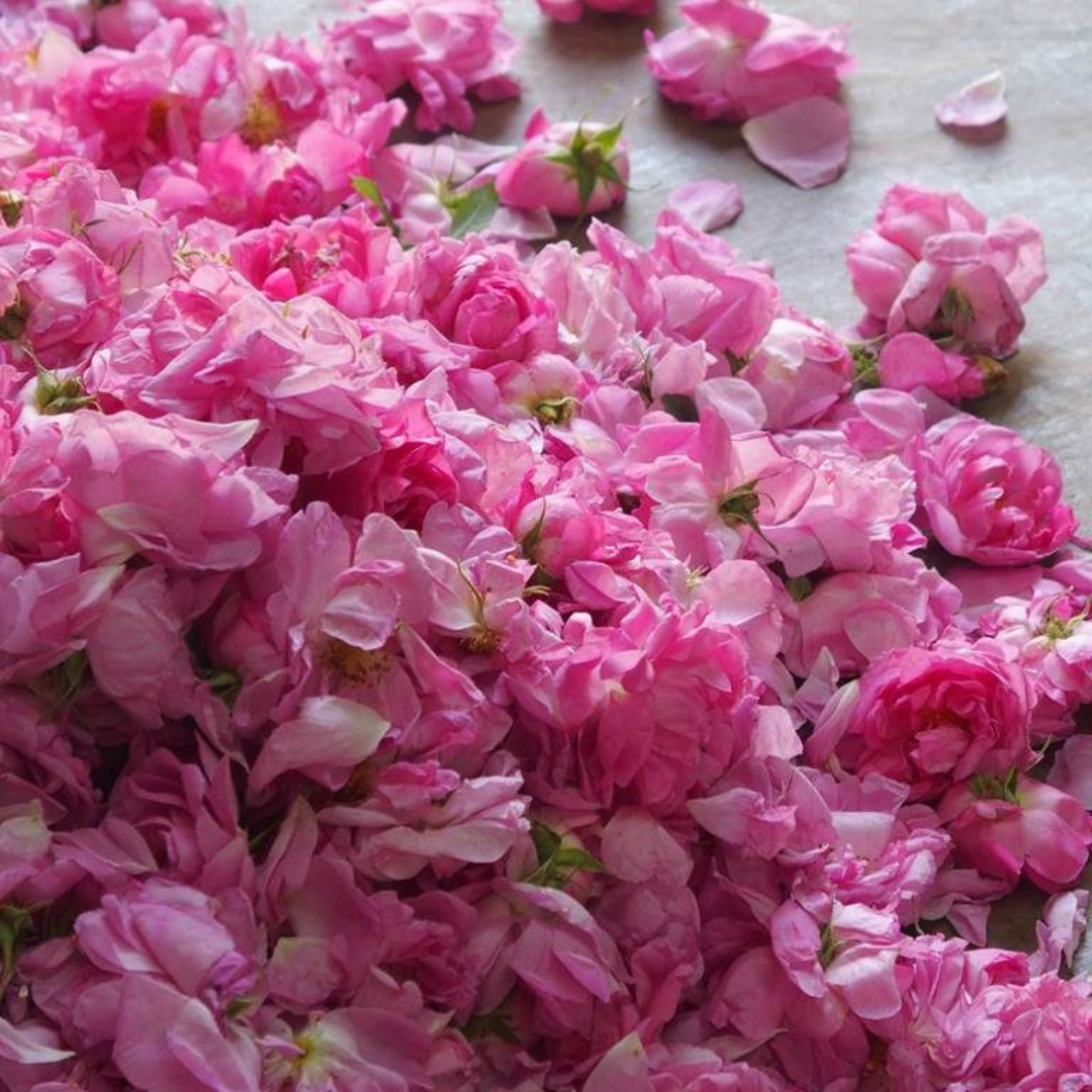   Organic Damask Rose Water (Hydrosol)